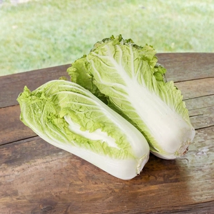 娃娃菜新鲜蔬菜现摘现发货优选黄心白菜霜冻农家自种露天芽白苗