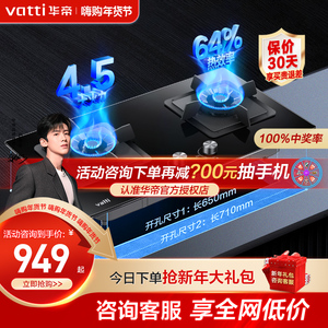 华帝燃气灶i10065B嵌入式灶具天然气液化气节能煤气灶家用双灶具