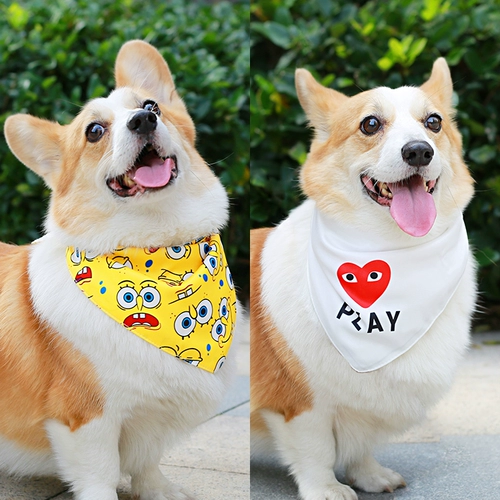 Собачья собачья водолазнецы Треугольник прилив маленький и маленький инукки, сражаясь с горой золото золото мао -шарф кошачий шарф