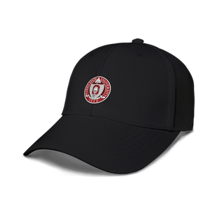 美国名校俄亥俄州立大学鸭舌帽遮阳男女学生毕业棒球帽子设 无界