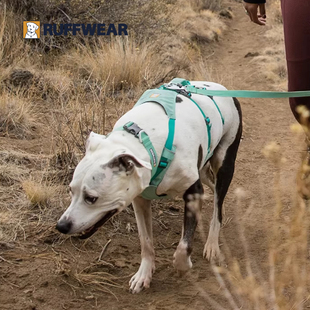 拉夫威尔弗格兰狗狗胸背带外出防爆冲大小型犬背心式狗狗牵引绳