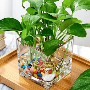 創(chuàng)意水培器皿花瓶擺件透明玻璃缸花盆插花綠蘿植物正方形裝 飾桌面