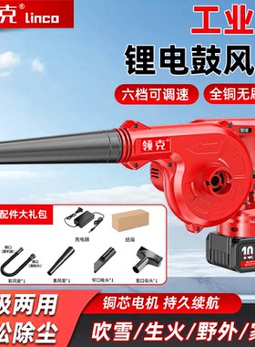 新款领克无刷调速大功率吹风机