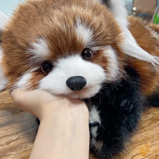 猫憩小熊猫 原创手工可爱呆萌熊猫关节毛绒玩偶diy材料包