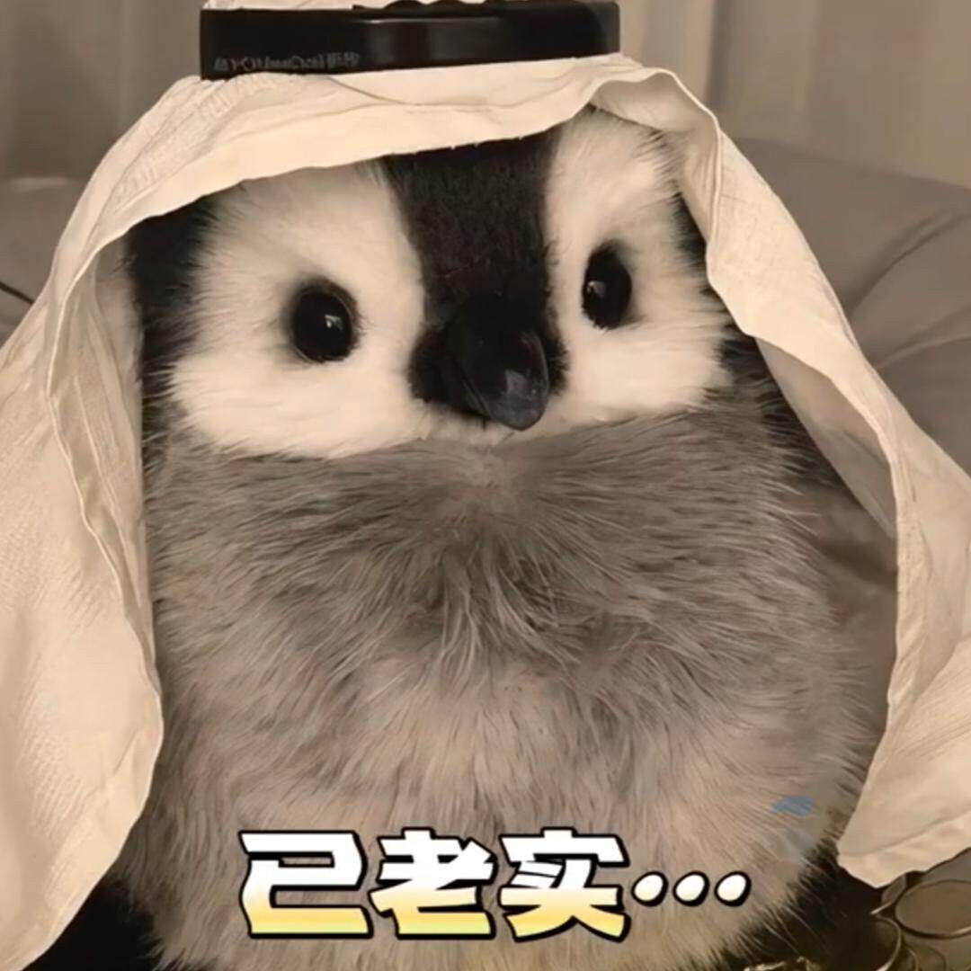 超萌小企鹅毛绒公仔送女生礼物