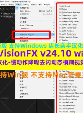Win新版慢动作降噪动态模糊套装AEPR插件REVisionFX v24.10汉化