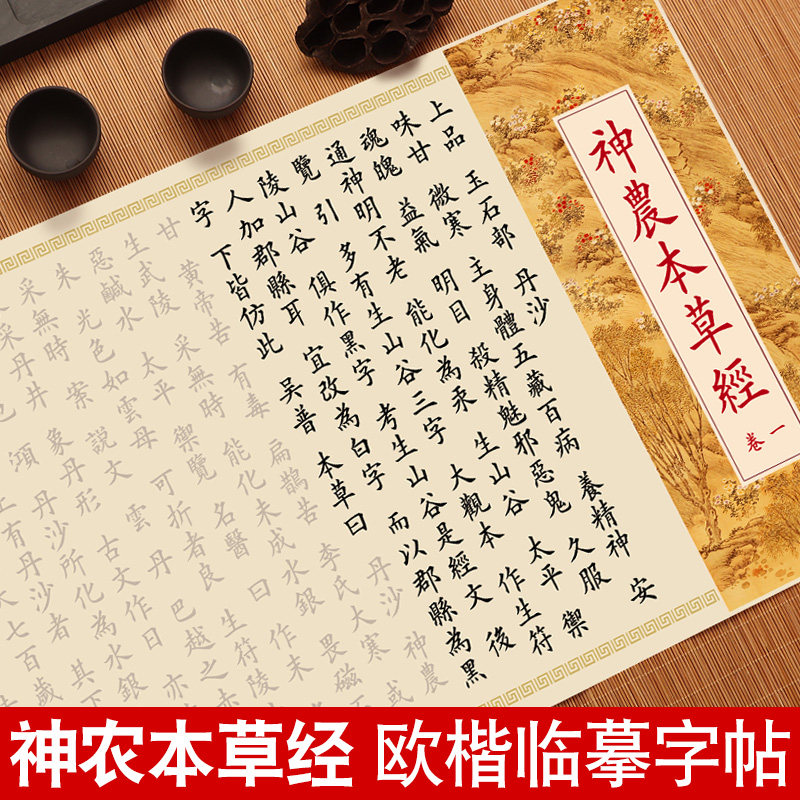 神农本草经小楷临摹字帖中医经典黄帝内经伤寒论金匮要略钢笔式毛笔软笔练字帖欧体楷书法初学者入门长卷套装