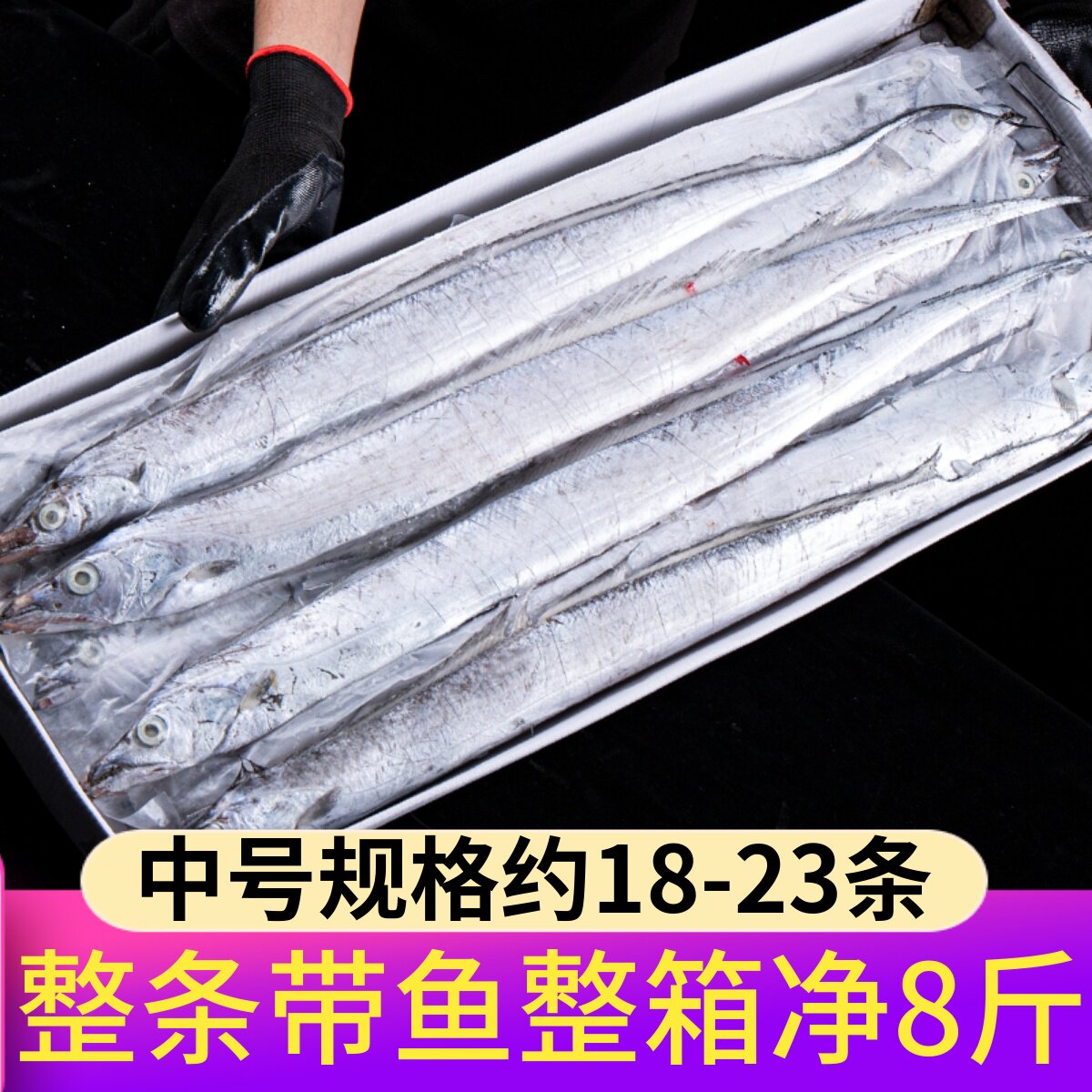 东海带鱼新鲜冷冻整箱8斤深海整条大带鱼海捕舟山饭店批发商用