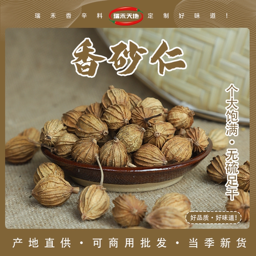 香砂沙仁金砂仁川砂仁500g