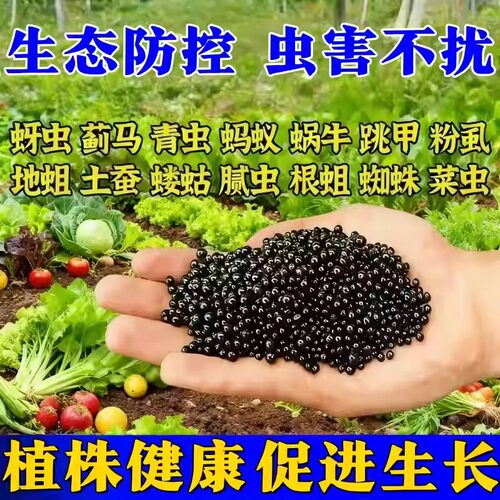 土壤除虫种植撒施型清菌颗粒菜地杀虫治病菌生根壮苗瓜果蔬菜通用