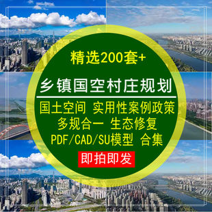 乡镇国空村庄规划国土空间实用性案例多规合一生态修复政策文件集