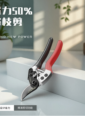 日本原材料进口修枝剪园艺剪树枝专用剪刀花艺修剪剪花剪子果树