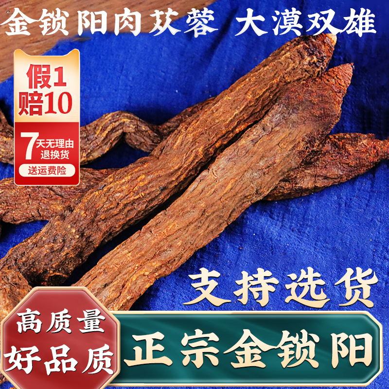 正宗內(nèi)蒙古阿拉善金鎖陽(yáng)兩根500克鎖陽(yáng)整根荒漠肉蓯蓉正品