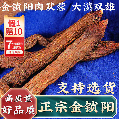 正宗内蒙古阿拉善金锁阳两根500克锁阳整根荒漠肉苁蓉正品