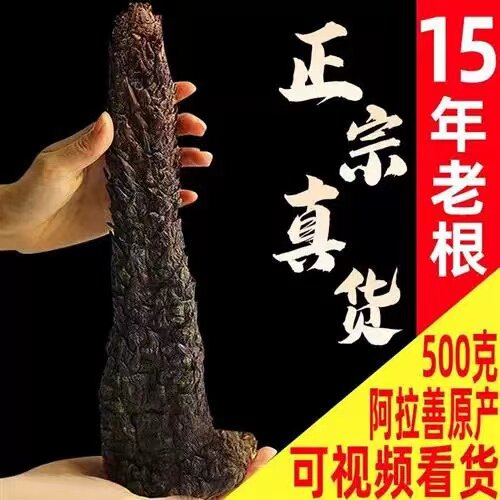 阿拉善肉苁蓉正宗正品