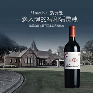 干露红魔鬼活灵魂干红葡萄酒原瓶进口智利十八罗汉送礼收藏2020年