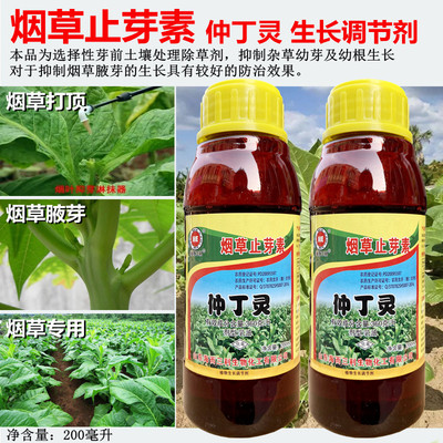 丁灵烟叶打顶腋芽植物生长调节剂
