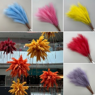 仿真蒹葭草羽毛芦苇植物落地客厅家居装饰摆设摄影服装道具狗尾草