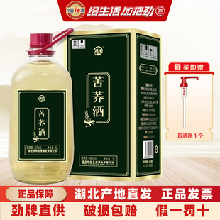 酒礼盒装 枫林苦荞酒 42度5L约10斤玻璃瓶大桶装