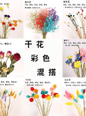 混搭多色ins风小清新家居干花