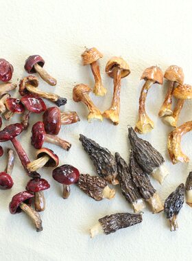 云南植物标本真蘑菇吊坠手链配件