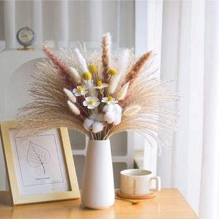 天然风干芦苇现代高级混搭干花小拂尘居家玄关客厅摆设花瓶摆件