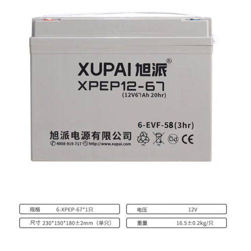 旭派XPEP12-67蓄电池6-EVF-58/3HR洗地车电动叉车FD-72.1旭派电瓶
