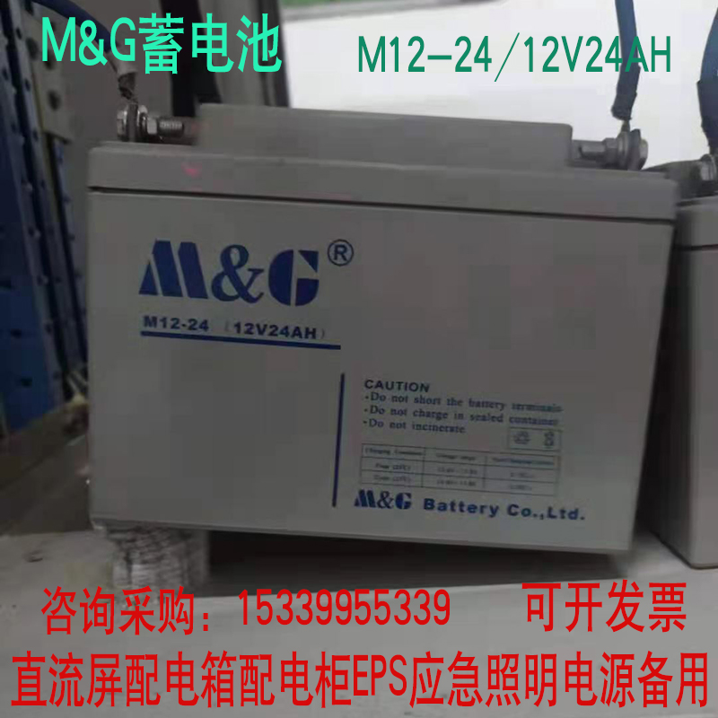 迈格12V24AH蓄电池M12-24直流屏EPS应急电源配电箱UPS备用电池