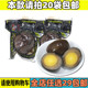 80后怀旧温州风味乡巴鸡蛋乡吧卤蛋盐焗鸡蛋泡椒鸡蛋 零食小吃 包邮