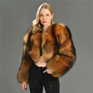 时尚 新款 女士短款 冬季 皮毛一体貉子毛外套女皮草 电商欧美热卖
