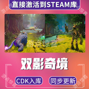 steam正版双影奇境国区激活码CDKey正版cdk国区在线联机全球入库