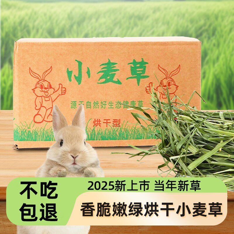 2025年烘干小麦草兔子干草饲料兔子吃的专用干牧草荷兰猪豚鼠龙猫