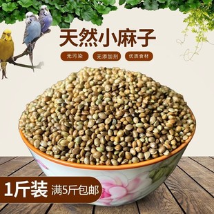 中颗粒火麻子麻籽火麻仁鹦鹉鸟粮饲料仓鼠松鼠粮鸽粮饲料