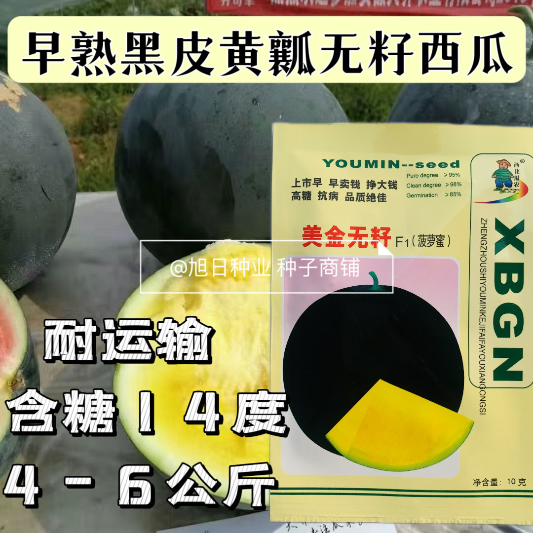 黄金无籽菠萝蜜黑皮黄瓤礼品西瓜种子超甜黄肉礼品圆形正宗无籽瓜