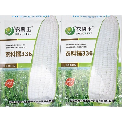 农科糯336甜糯玉米种籽孑农科玉368粘糯香甜高产北京华奥国审正品