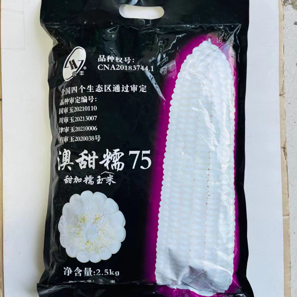 澳甜糯75白甜糯玉米种子鲜食玉米种籽大田高产抗病苞米苞谷种籽孑