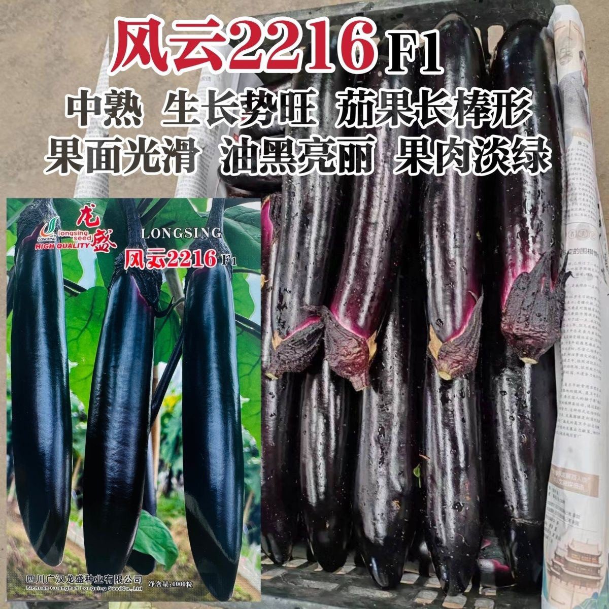 2216茄子种子长茄紫红果面黑亮果肉绿耐热抗病高产精品茄子种籽孑