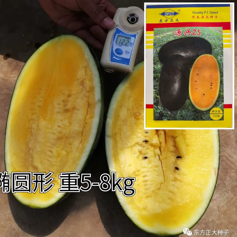 源兴25黄瓤西瓜种子高产抗病耐裂皮墨绿黄瓤椭圆形脆甜西瓜种籽孑