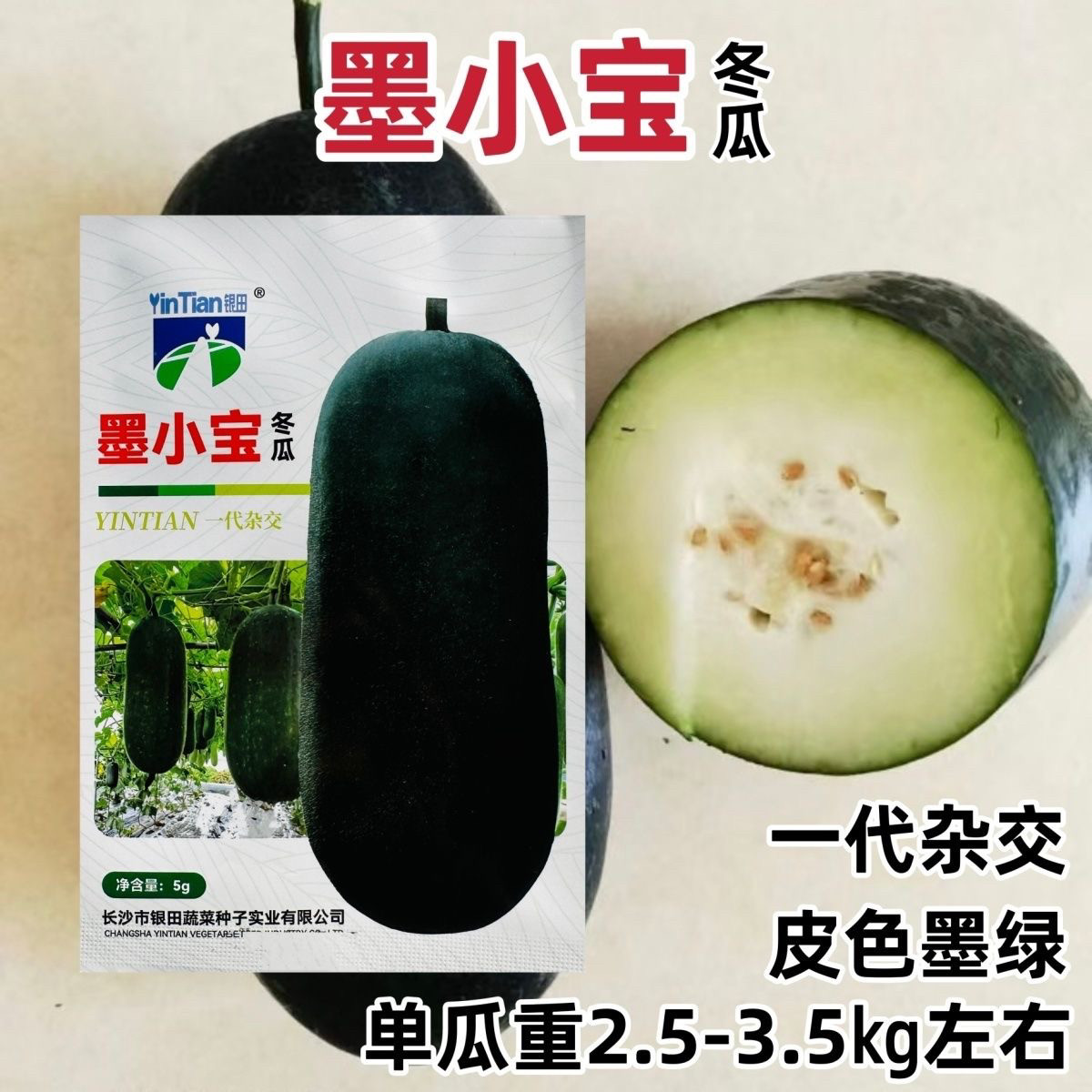 银田墨小宝小冬瓜种子杂交迷你冬瓜种子墨绿皮小型冬瓜籽蔬菜种籽