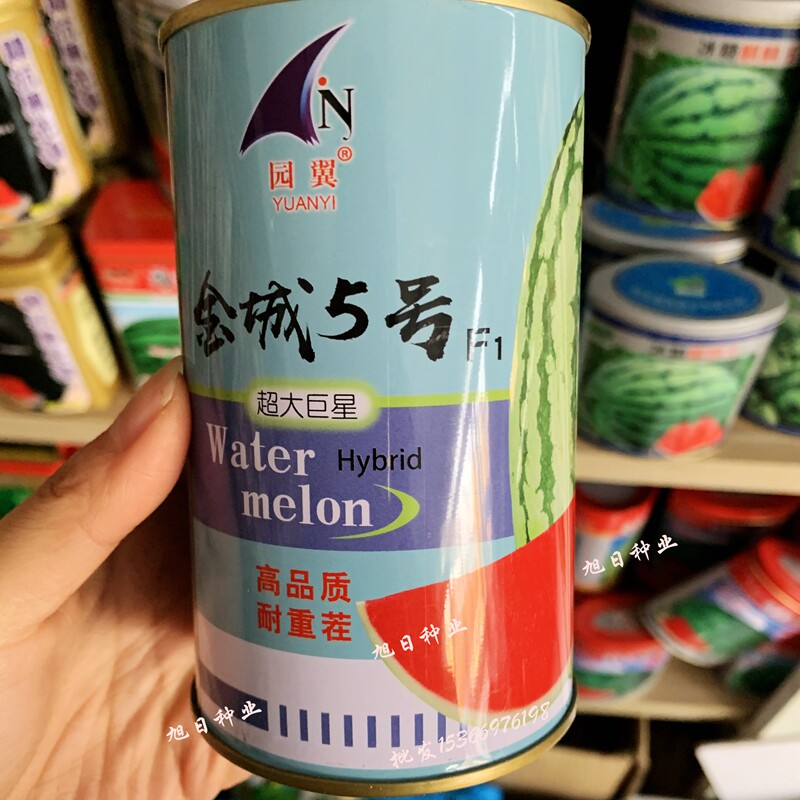特大高产南方四季水果西瓜新品种