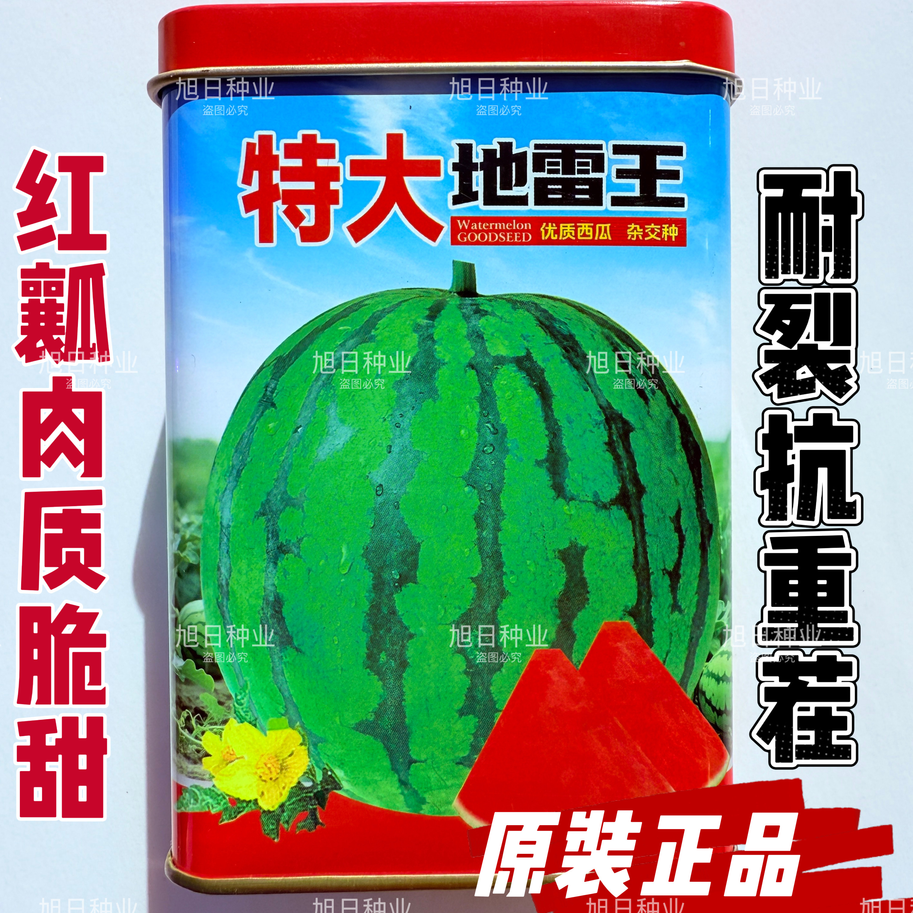 特大地雷王早中熟西瓜品种抗病抗裂耐重茬大红瓤糖度高口感好