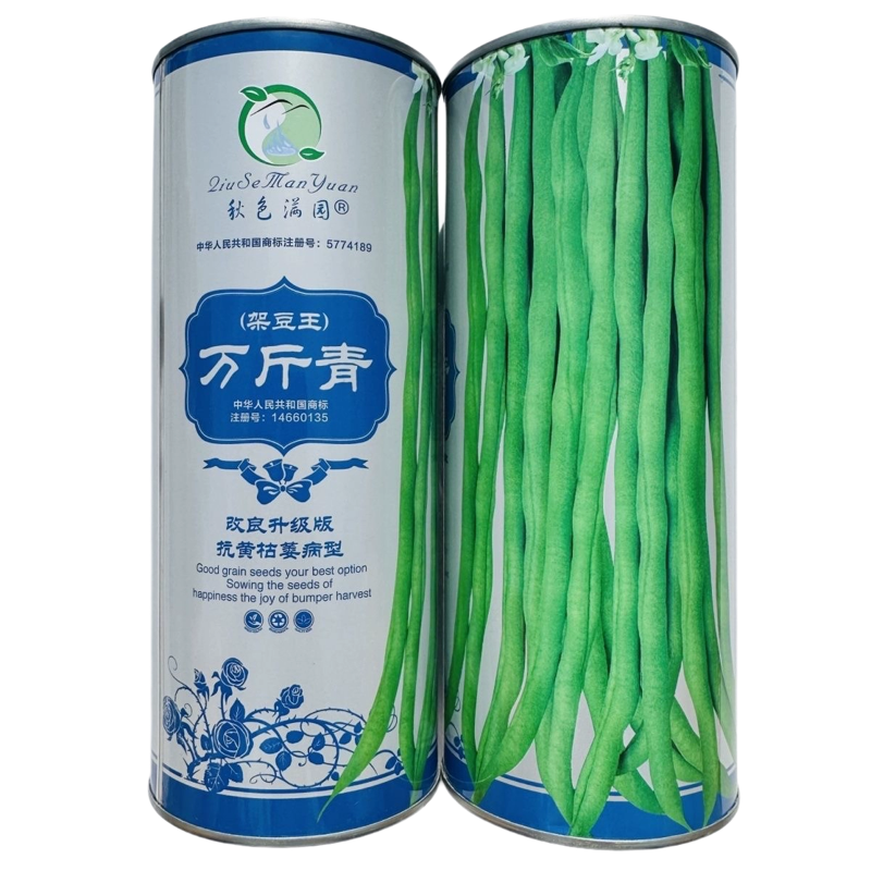 改良升级版万斤青架豆王种子无筋豆角种籽抗黄枯萎病四季架豆种子