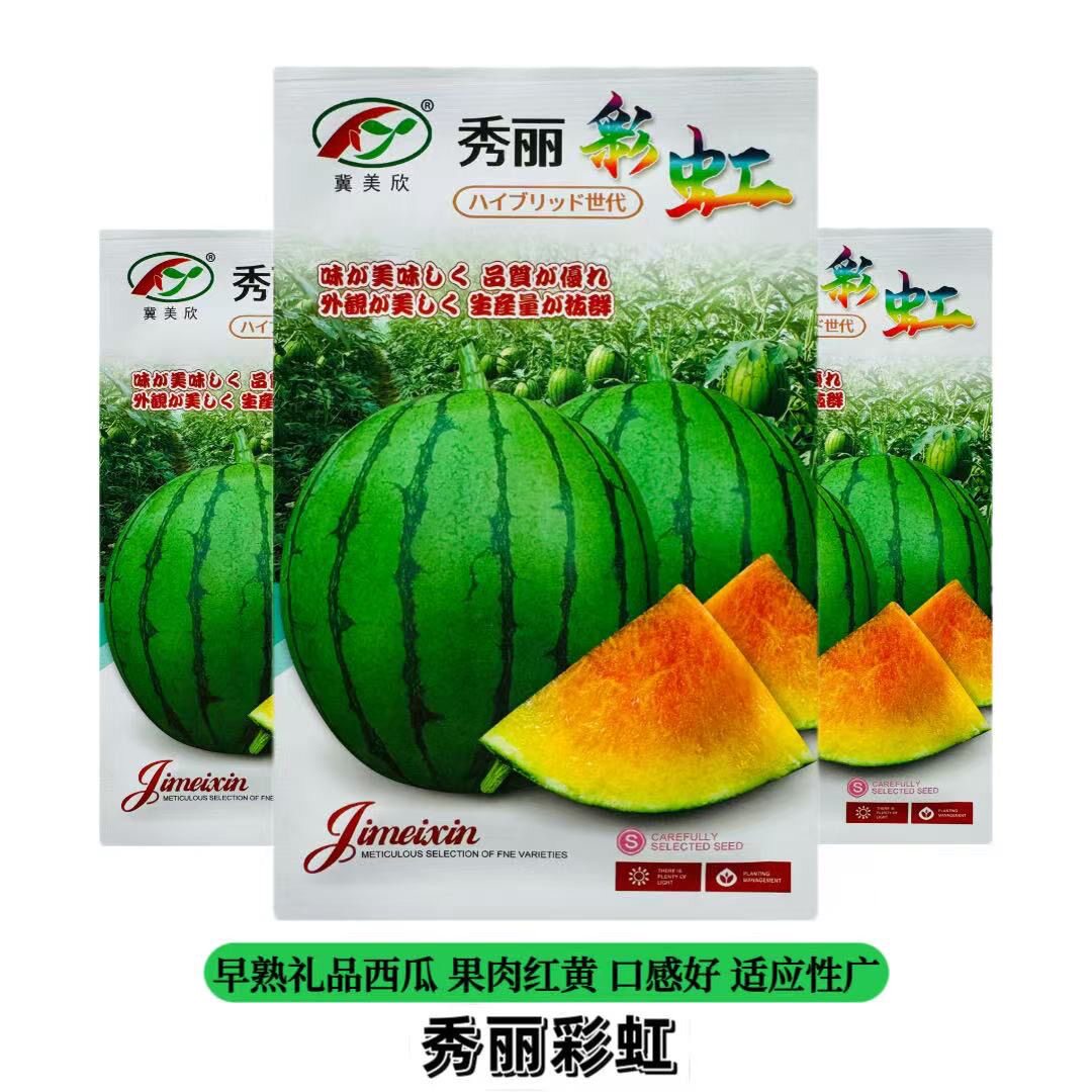 秀丽彩虹高品质礼品西瓜种子不易裂瓜高产抗病早熟口感好冰淇淋