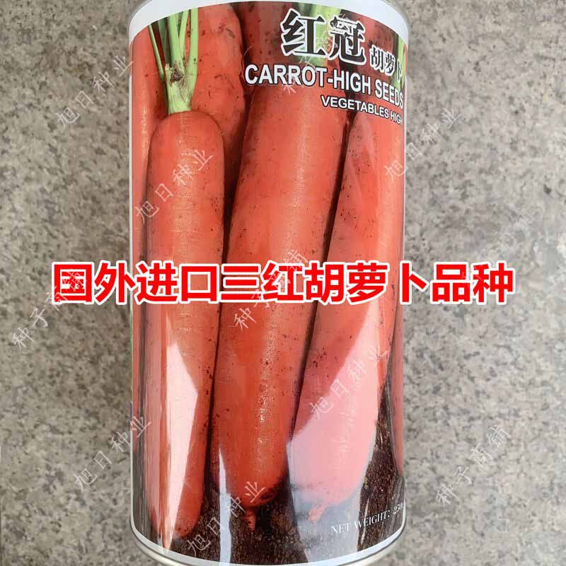 进口先科沃达红冠胡萝卜种子三红七寸参夏季耐热高产大田用秋季播