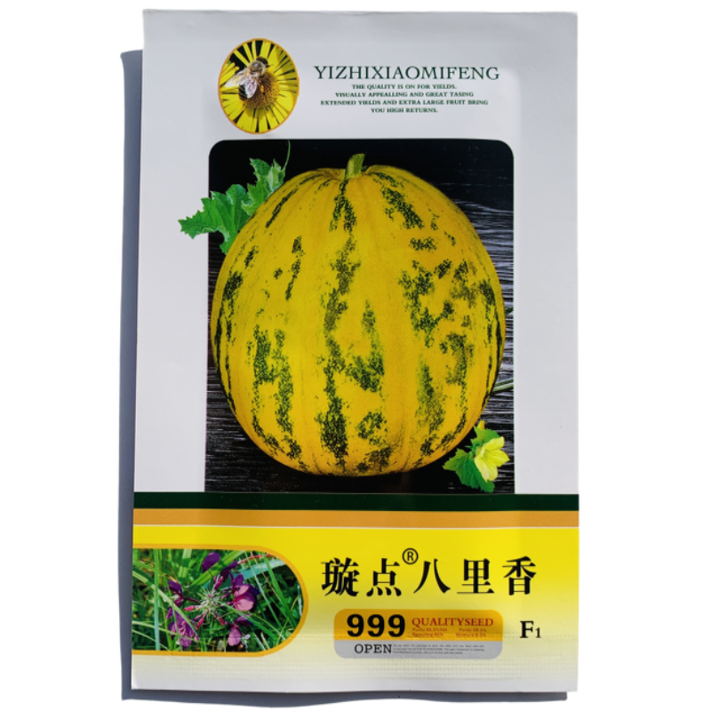 璇点八里香甜瓜种子黄色带点高档品种耐贮运丰产抗病一代杂交春秋