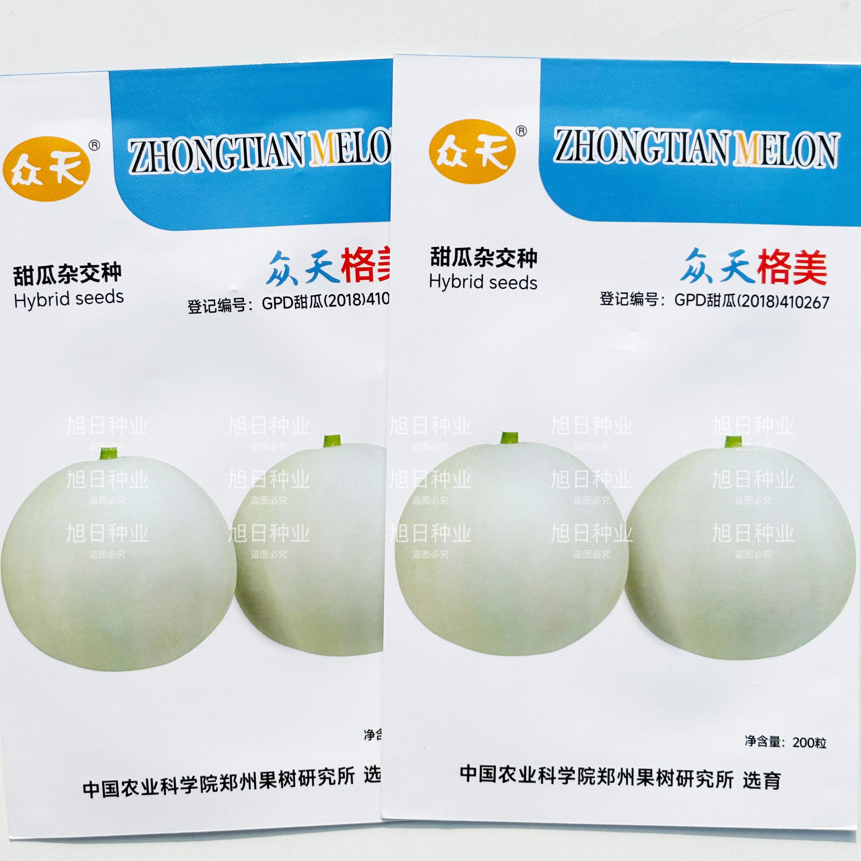 众天格美甜瓜种子 早中熟白色薄皮肉白色香瓜种籽肉厚细腻口感佳