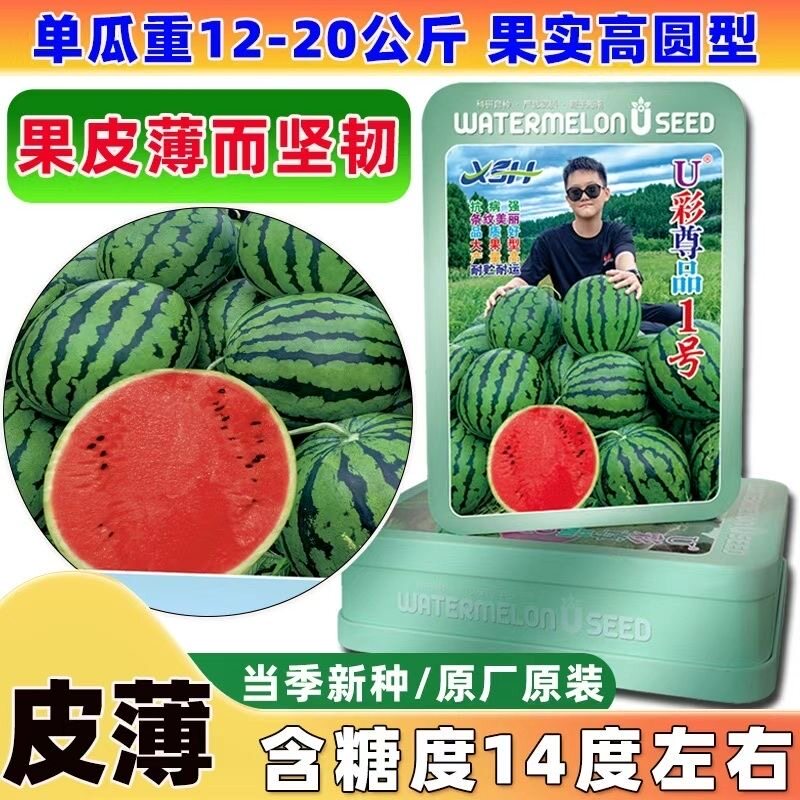 U彩尊品1号大果型甜王西瓜种子中晚熟懒汉型适合北方耐裂耐运输