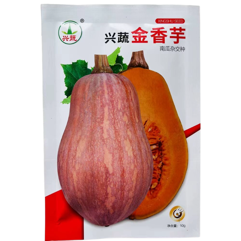 兴蔬金香芋南瓜种子果实橄榄形南瓜种籽新品种小果南瓜籽原厂正品