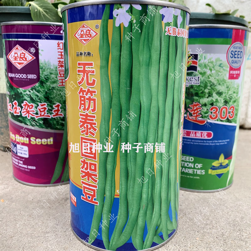 豆角种籽无筋泰国架豆王种子 芸豆早熟高产春秋四季农家蔬菜种孑