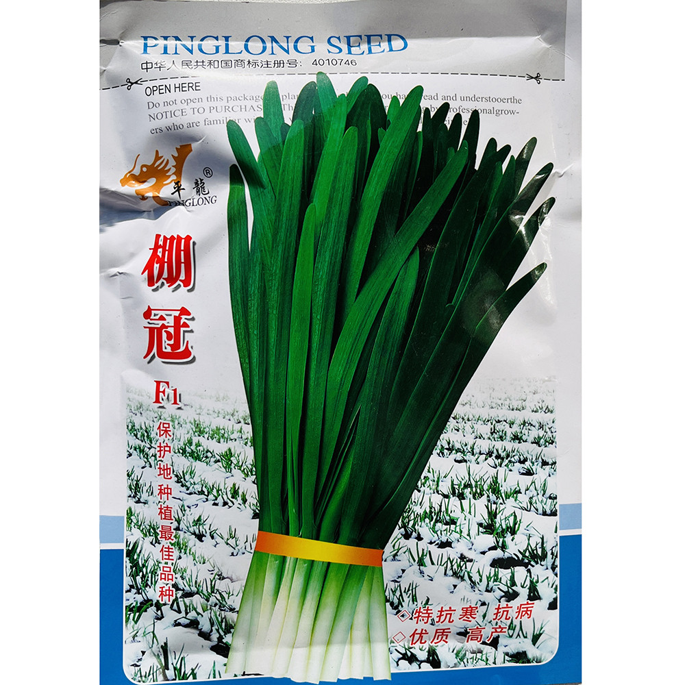 棚冠韭菜种子籽新一代杂交雪韭超抗寒高产抗病叶片宽大肥厚不休眠